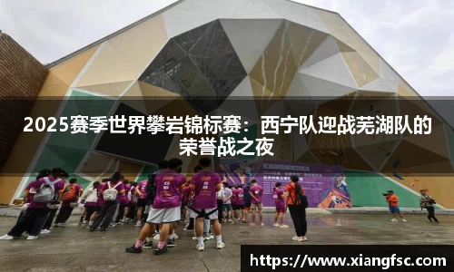 2025赛季世界攀岩锦标赛：西宁队迎战芜湖队的荣誉战之夜